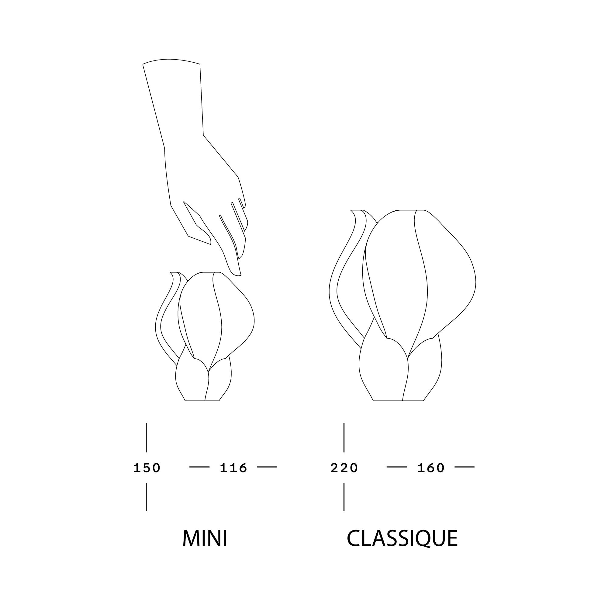 IRIS BULBILIS - vase - violet