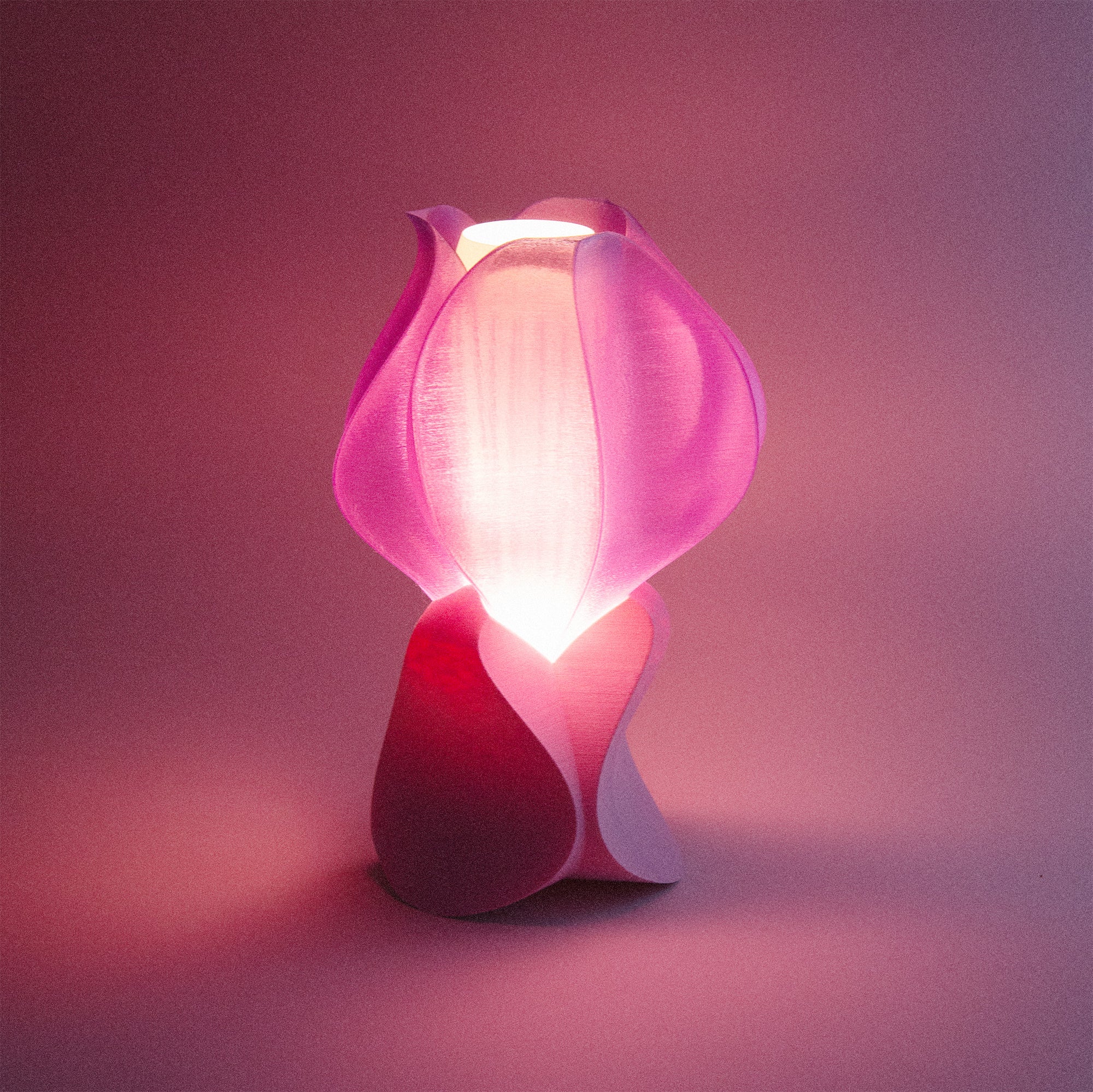 IRIS LAMINA mini - lampe à poser - violette / rose