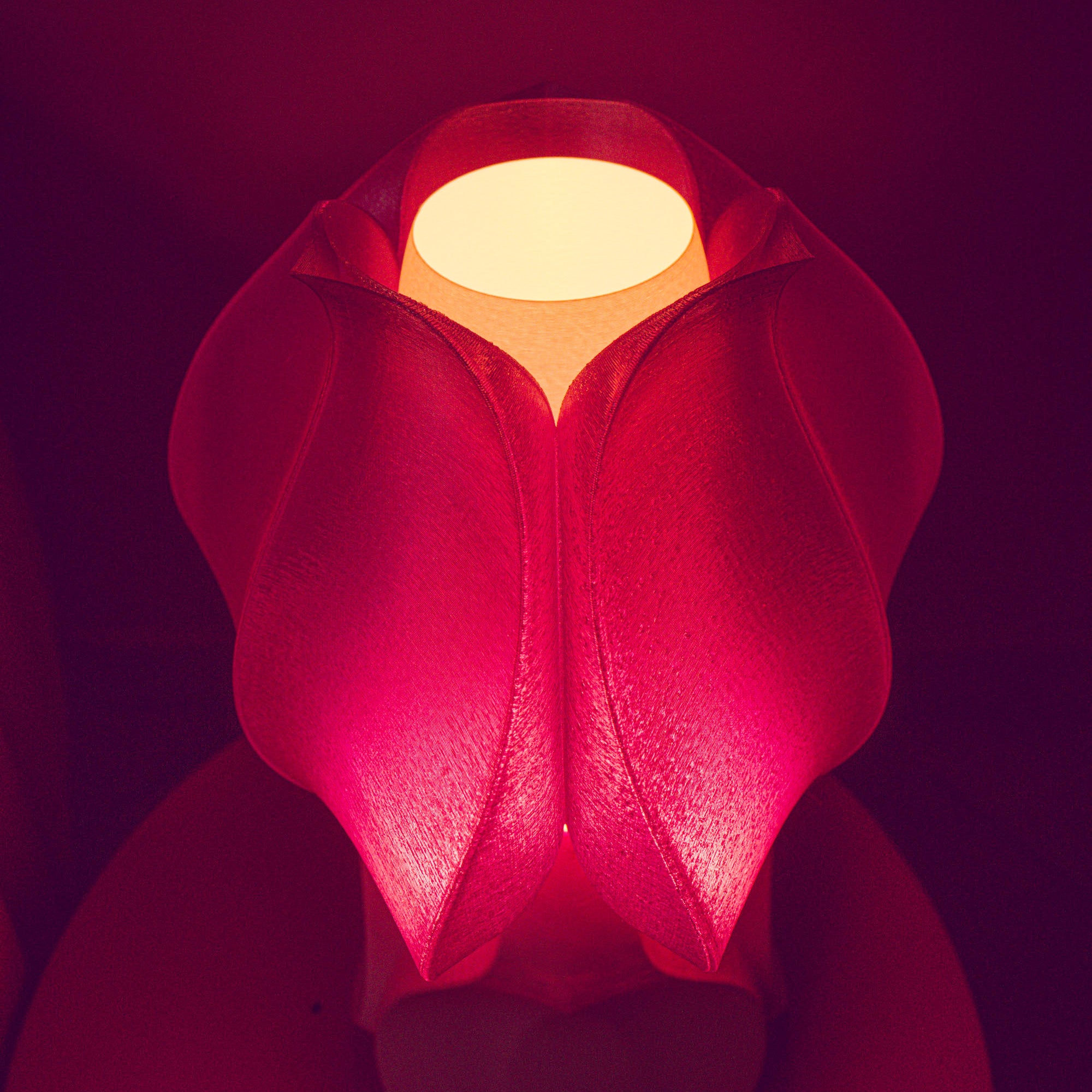 IRIS LAMINA mini - lampe à poser - violette / rose