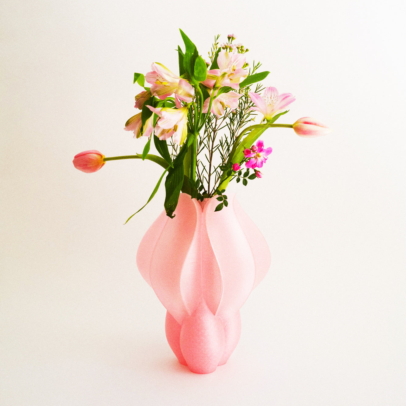 IRIS BULBILIS - vase - pêche