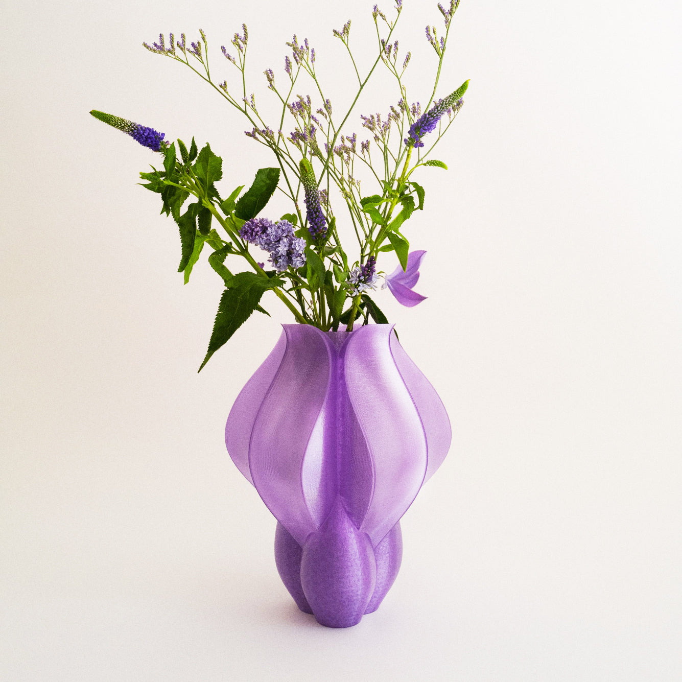 IRIS BULBILIS - vase - violet