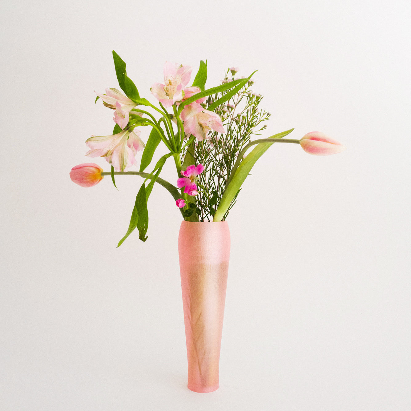 IRIS BULBILIS - vase - pêche