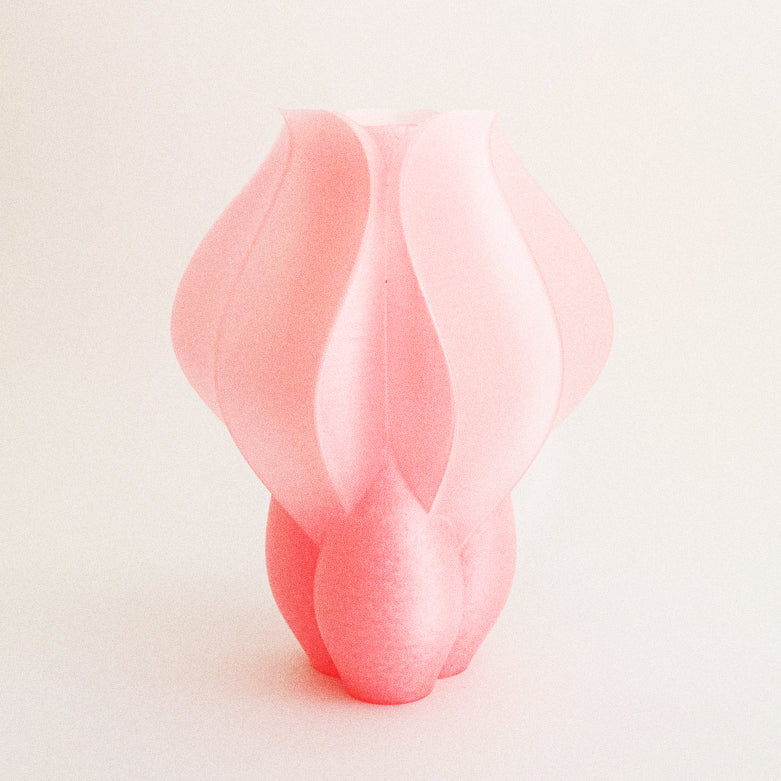 IRIS BULBILIS - vase - pêche