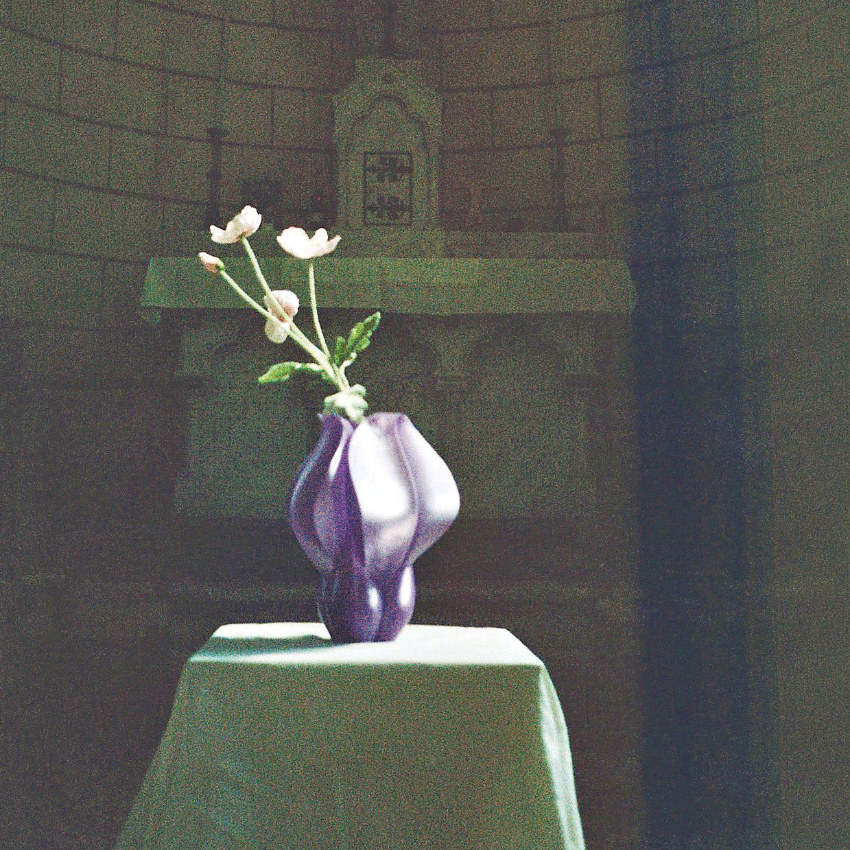 IRIS BULBILIS - vase - bleu