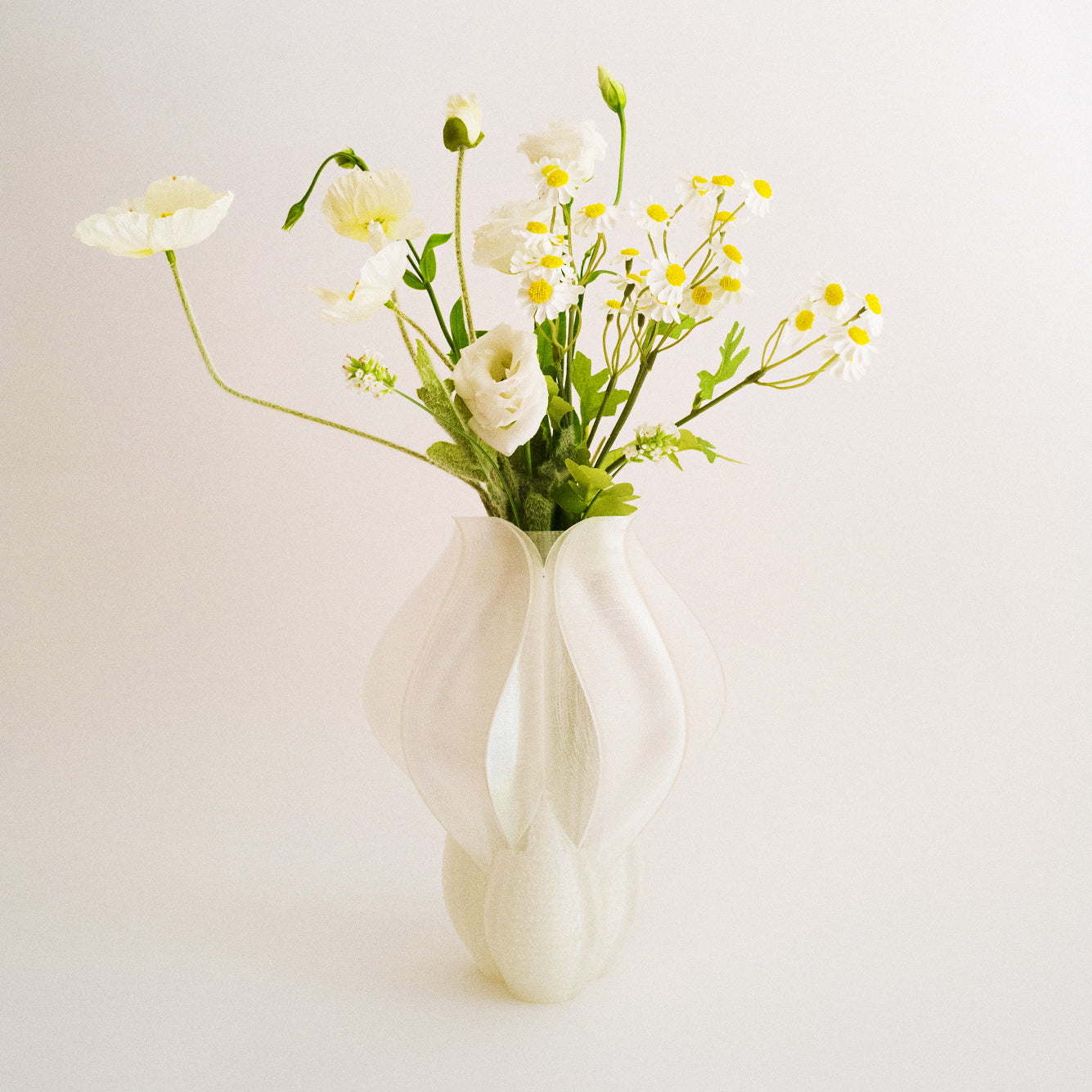 IRIS BULBILIS - vase - blanche
