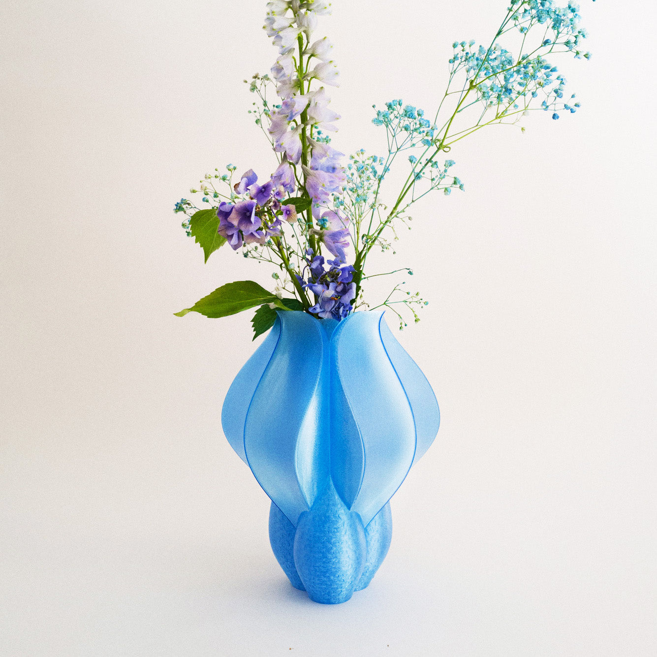 IRIS BULBILIS - vase - bleu