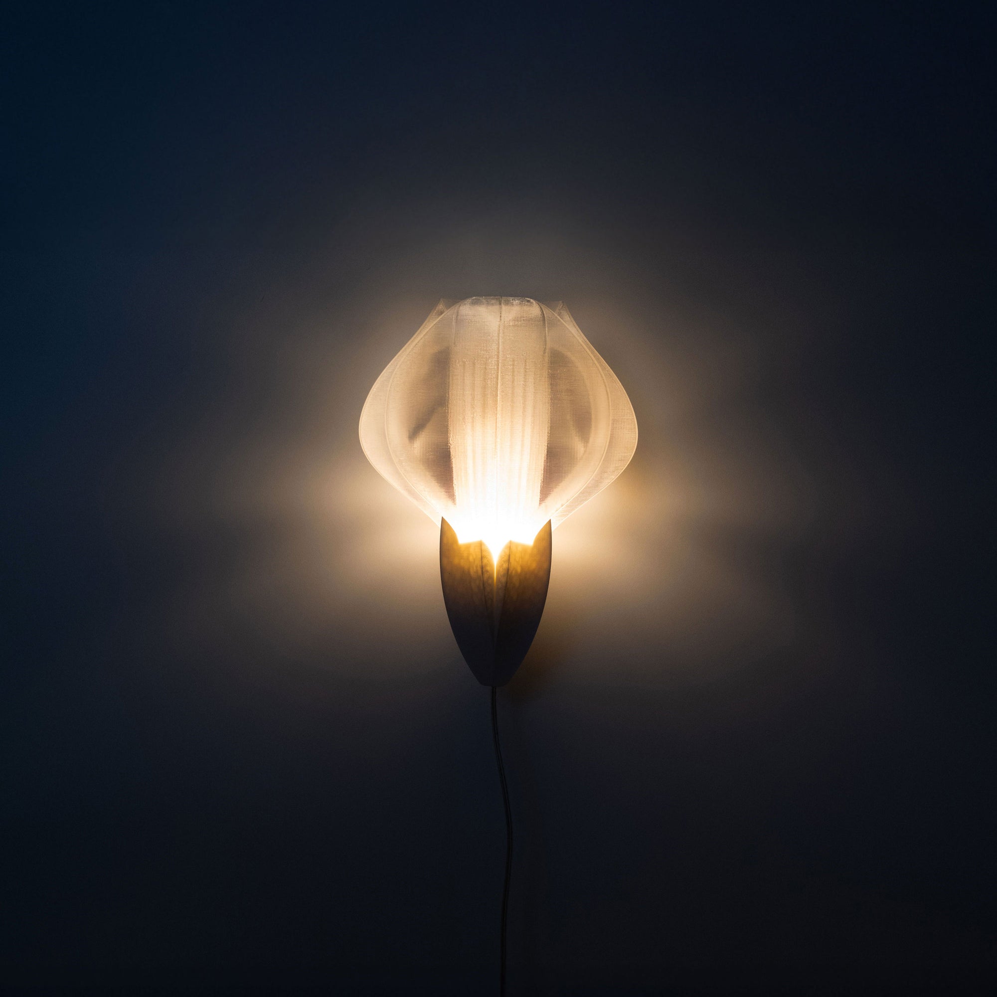 IRIS VITIS MINI - applique - blanche