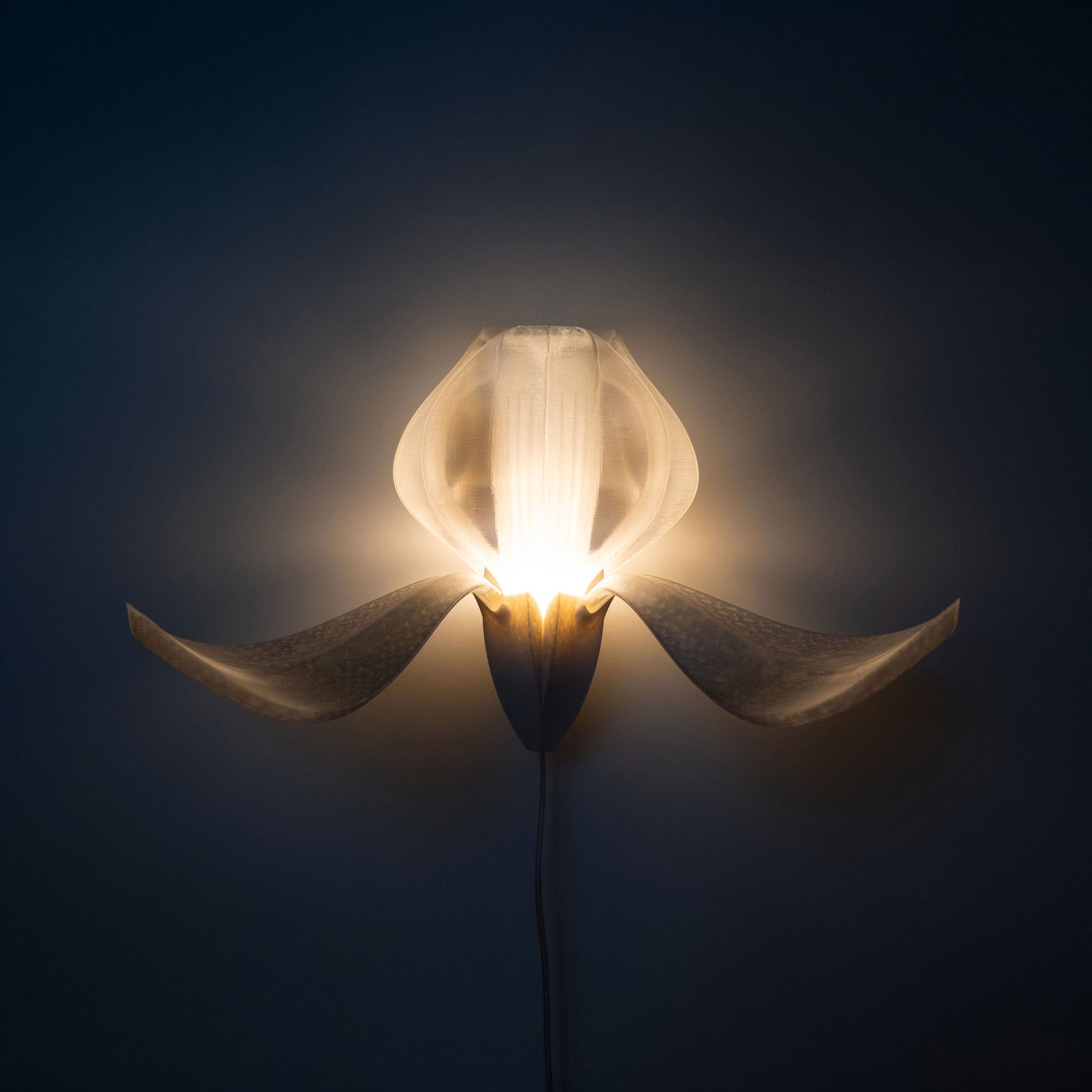 IRIS VITIS - applique - blanche