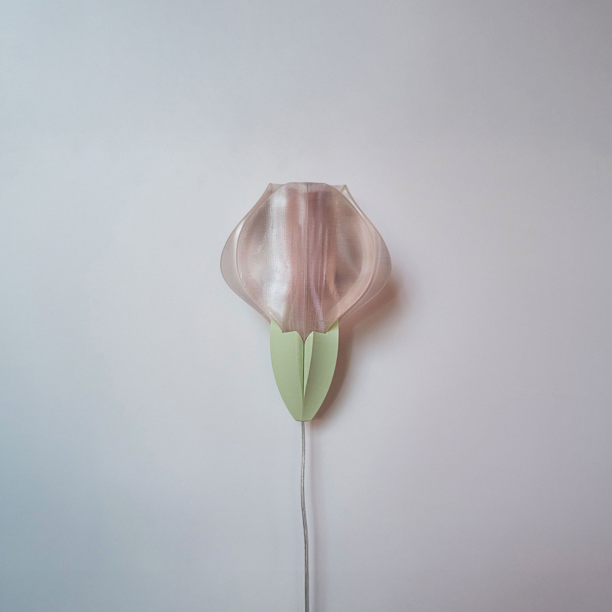 IRIS VITIS MINI - applique - blanche / verte