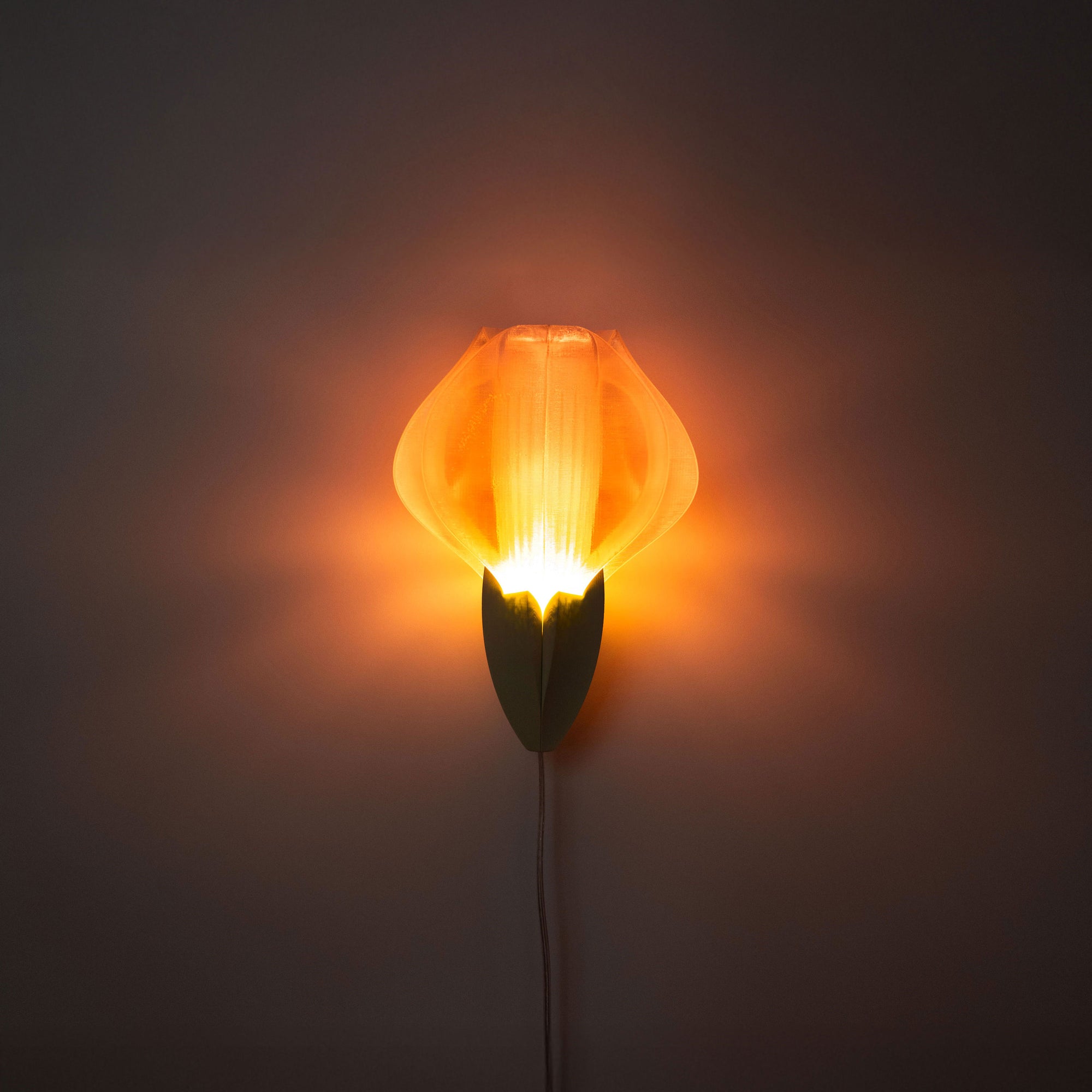 IRIS VITIS MINI - applique - blanche / verte