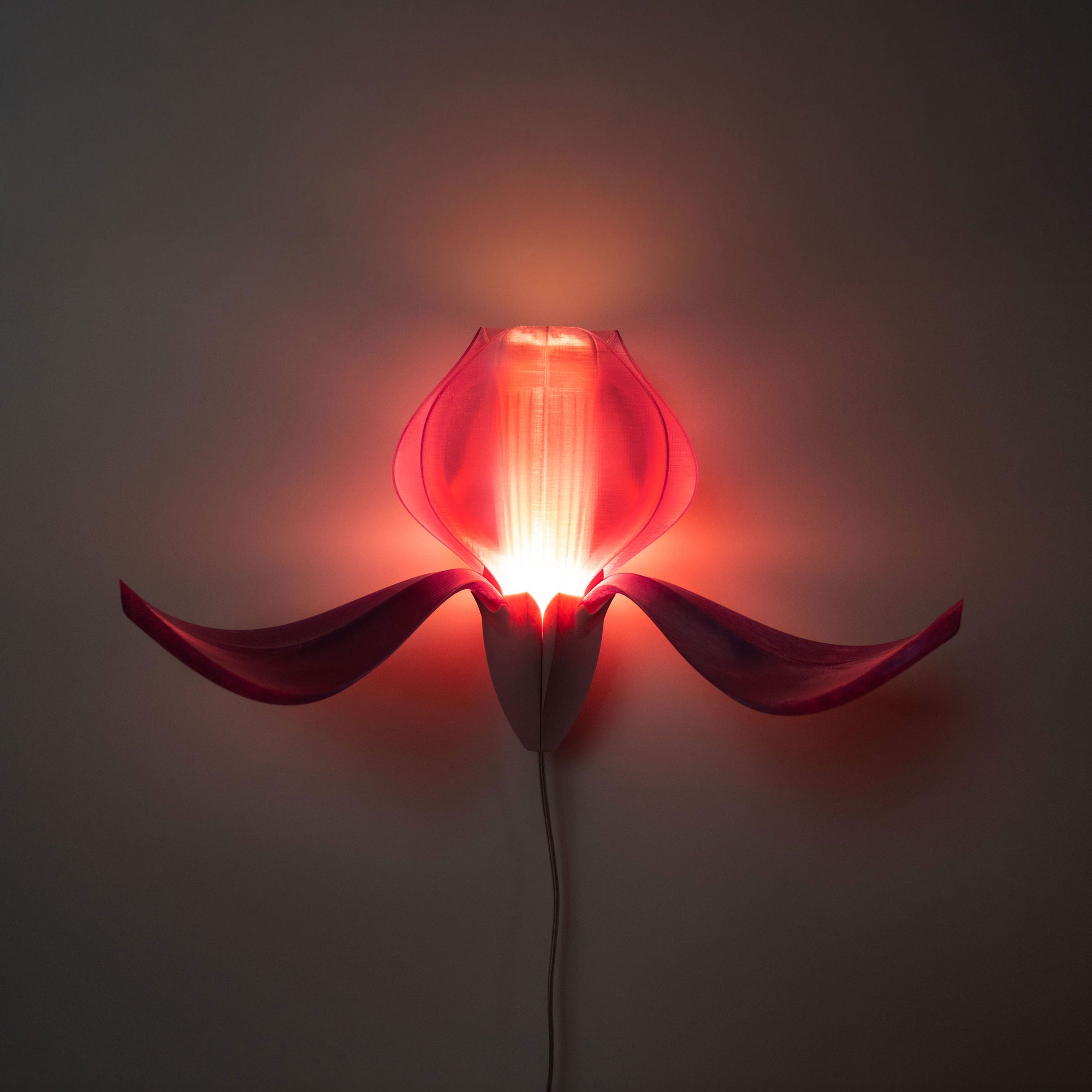 IRIS VITIS - applique - violette / rose