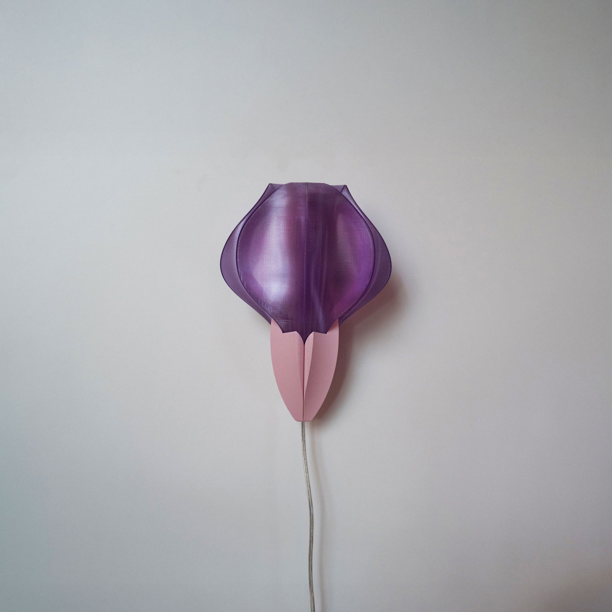 IRIS VITIS MINI - applique - violette / rose