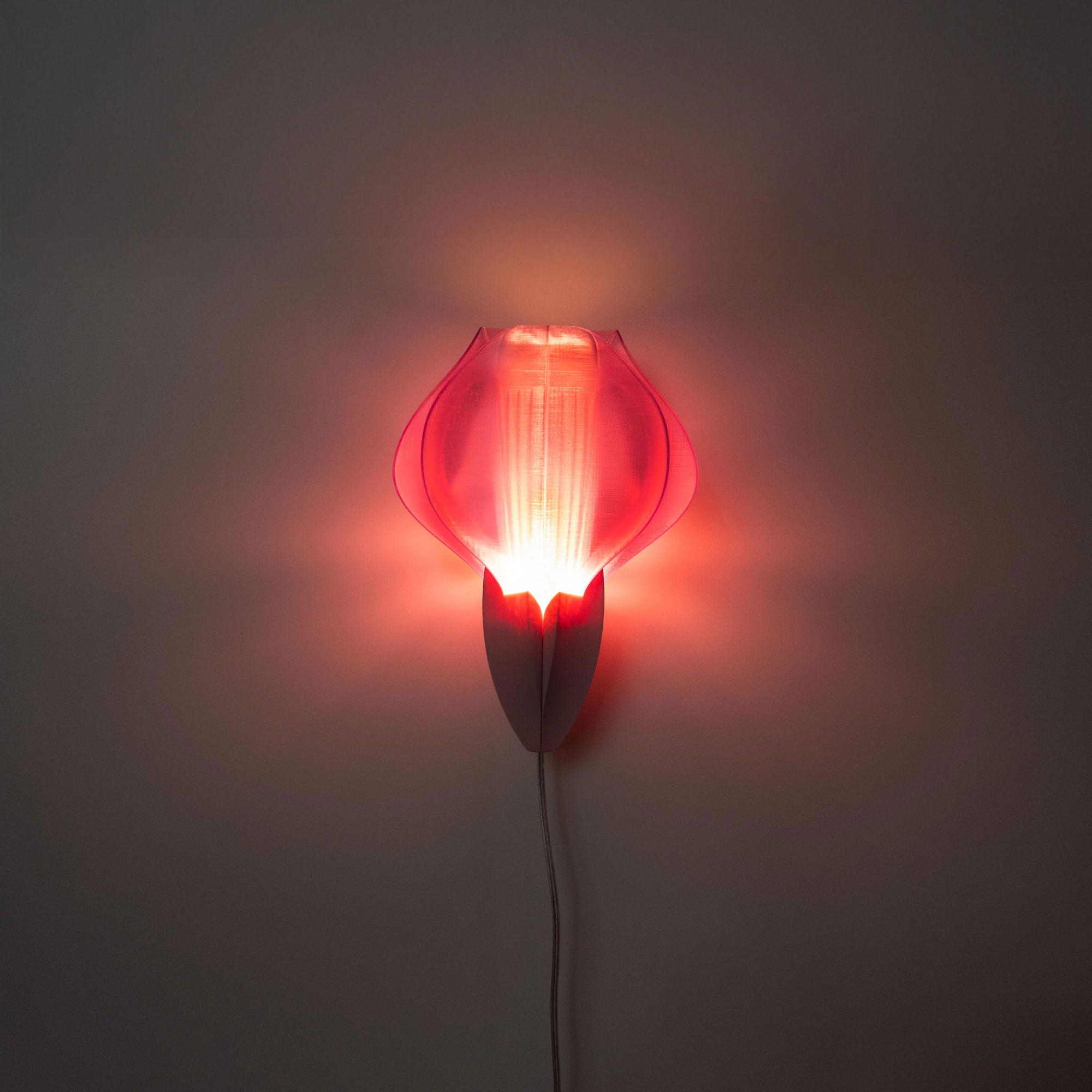 IRIS VITIS MINI - applique - violette / rose