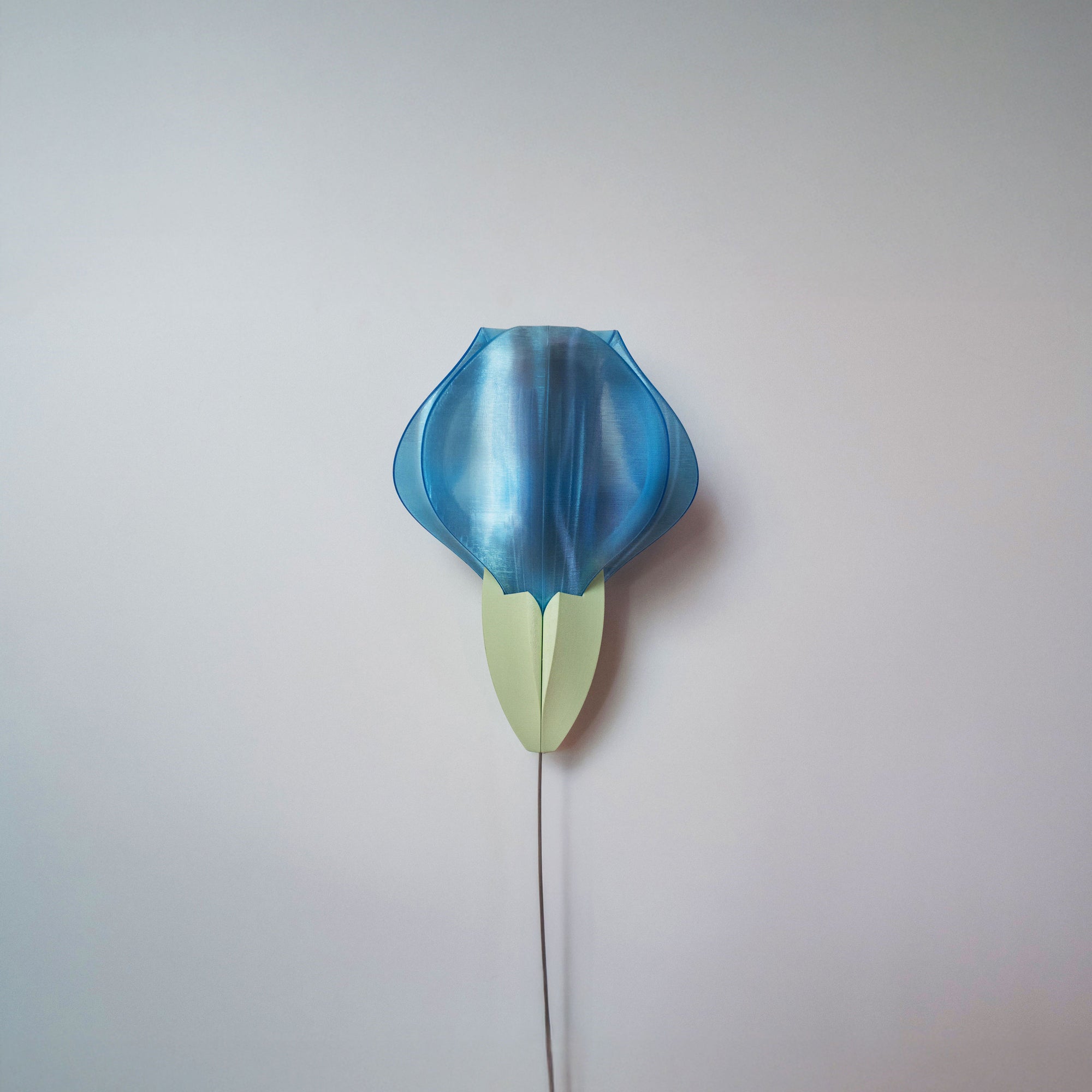 IRIS VITIS MINI - applique - bleue / verte