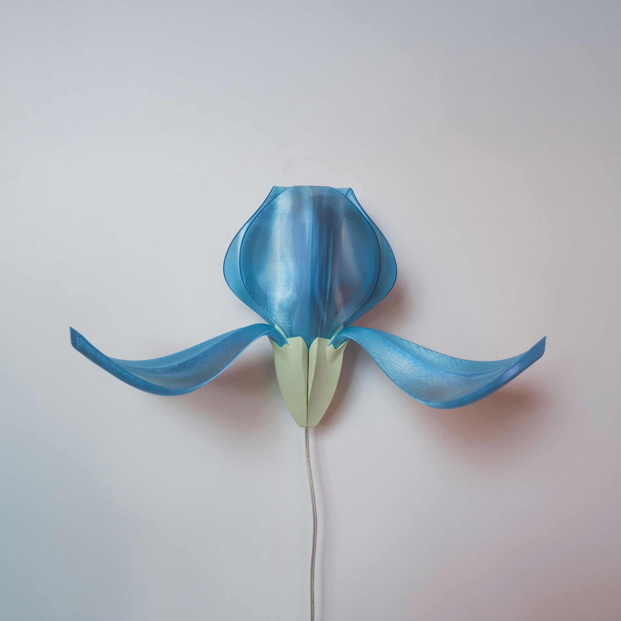 IRIS VITIS - applique - bleue / verte