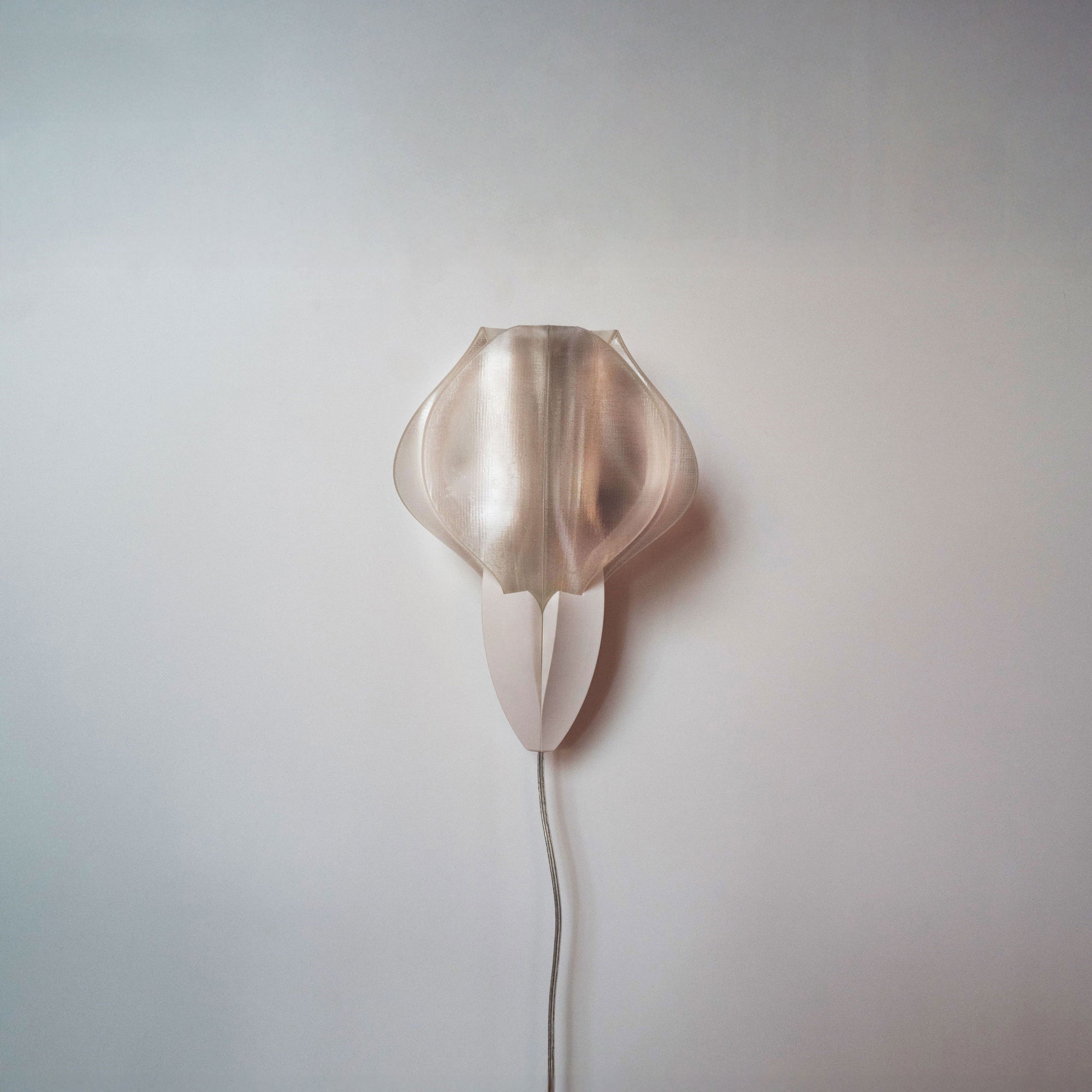 IRIS VITIS MINI - applique - blanche