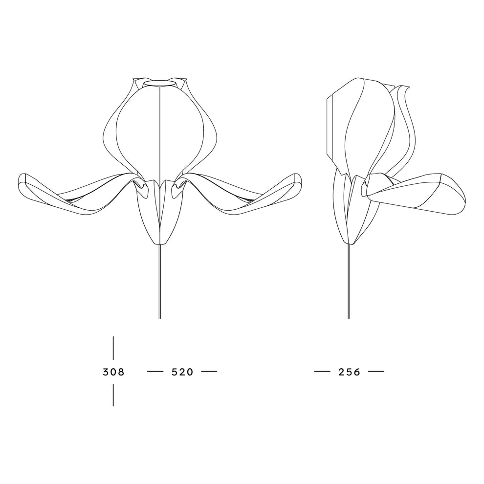 IRIS VITIS - applique - blanche