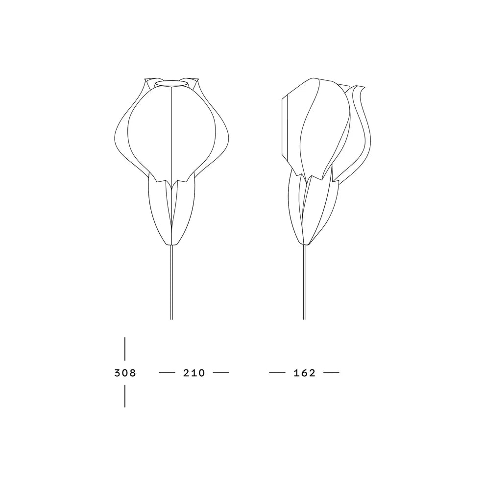 IRIS VITIS MINI - applique - blanche