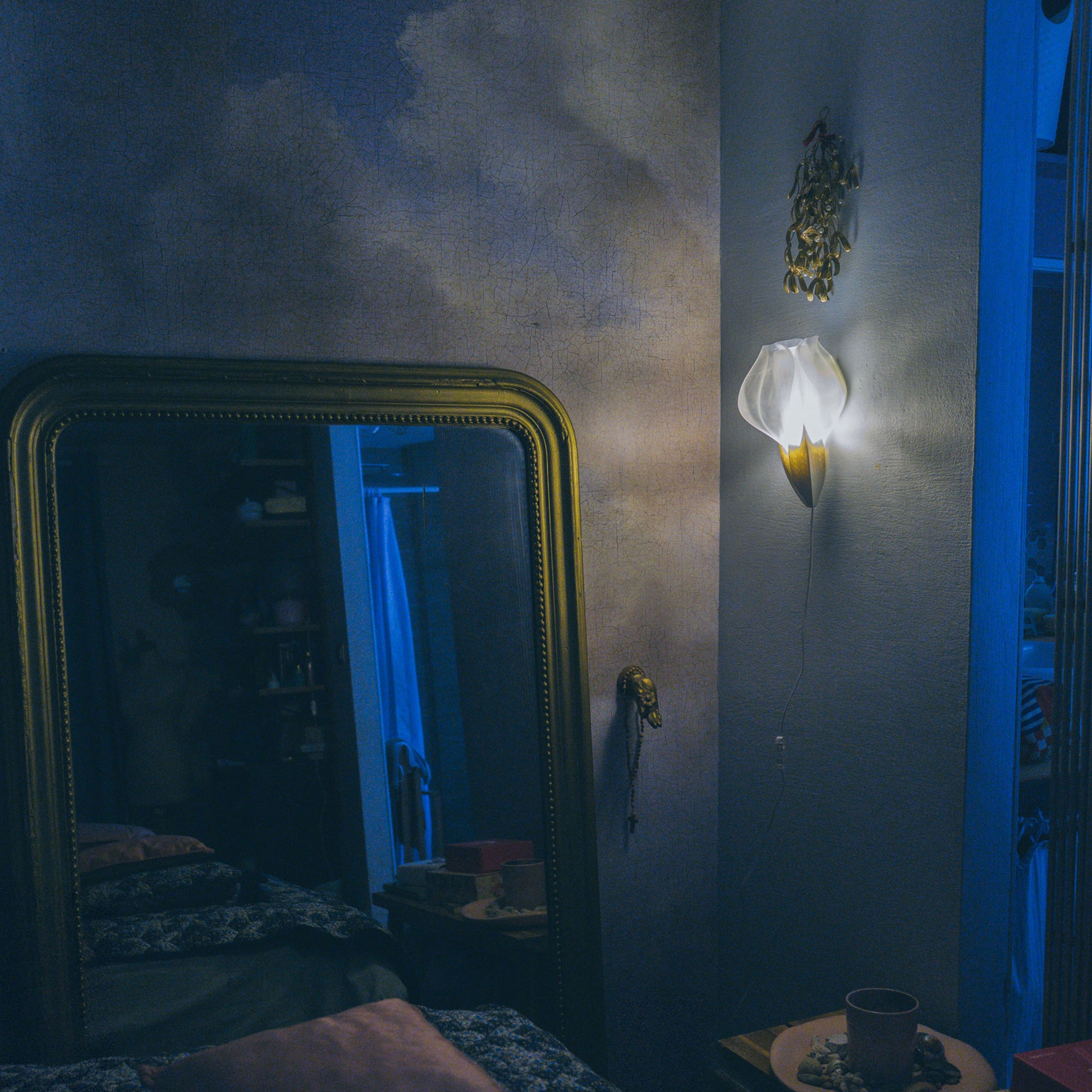 IRIS VITIS MINI - applique - blanche