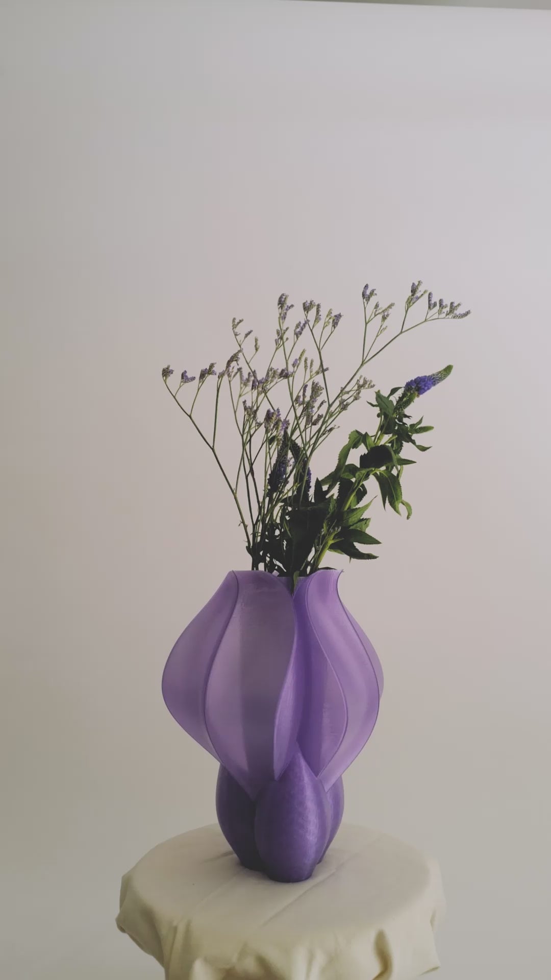 IRIS BULBILIS - vase - violet