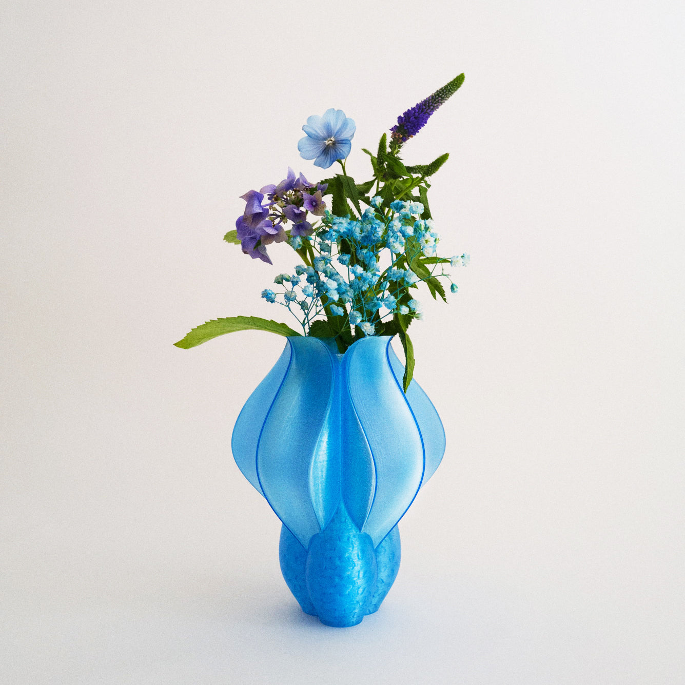 IRIS BULBILIS mini - vase - bleu