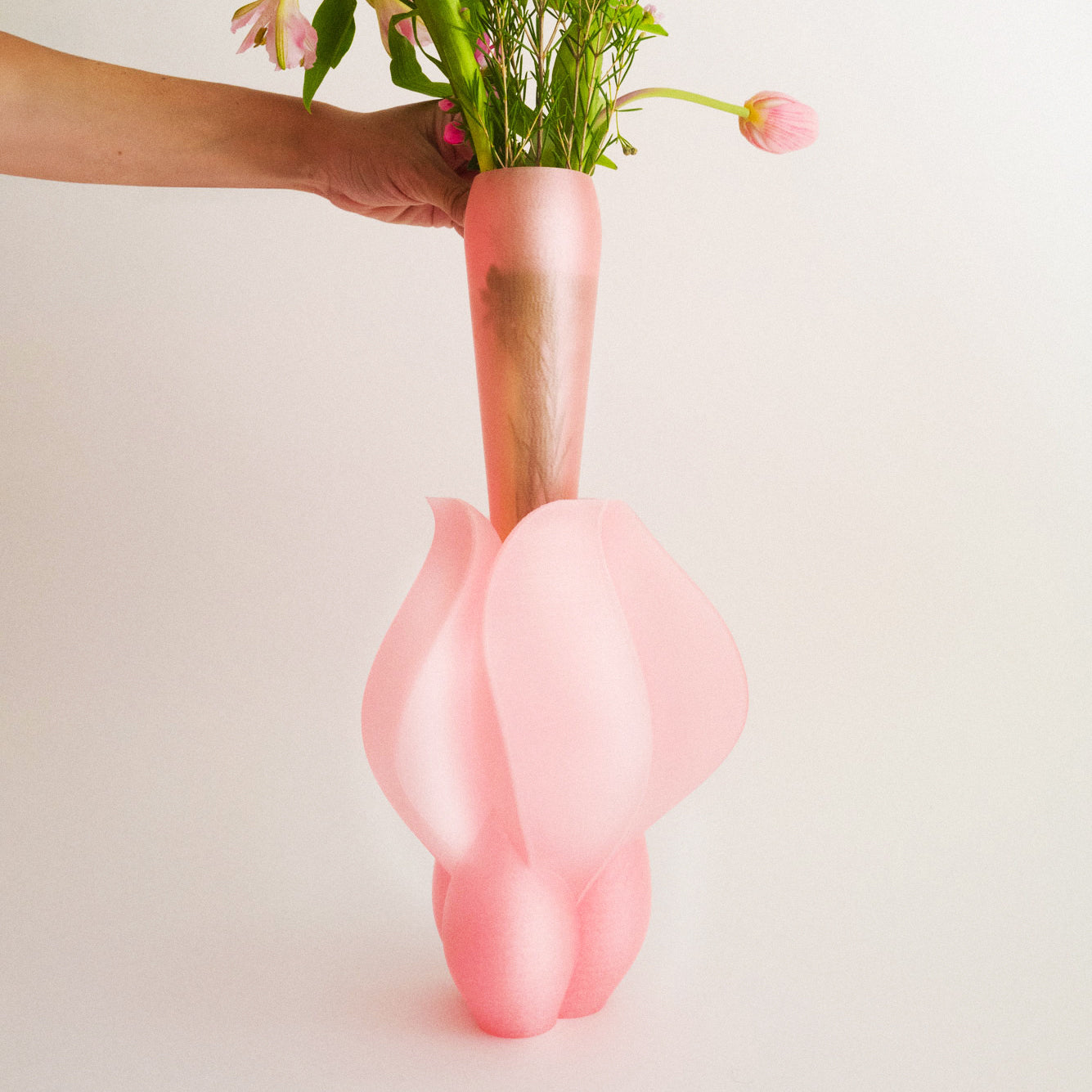 IRIS BULBILIS - vase - pêche