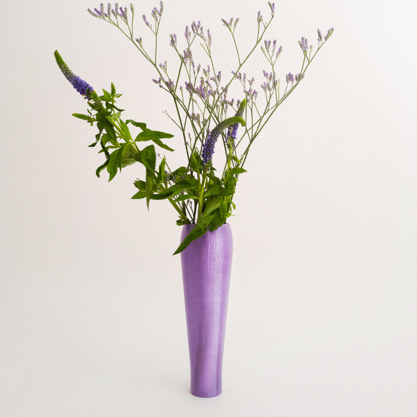 IRIS BULBILIS - vase - violet