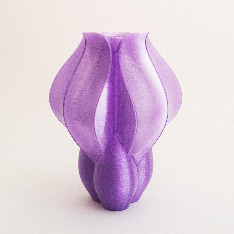 IRIS BULBILIS - vase - violet