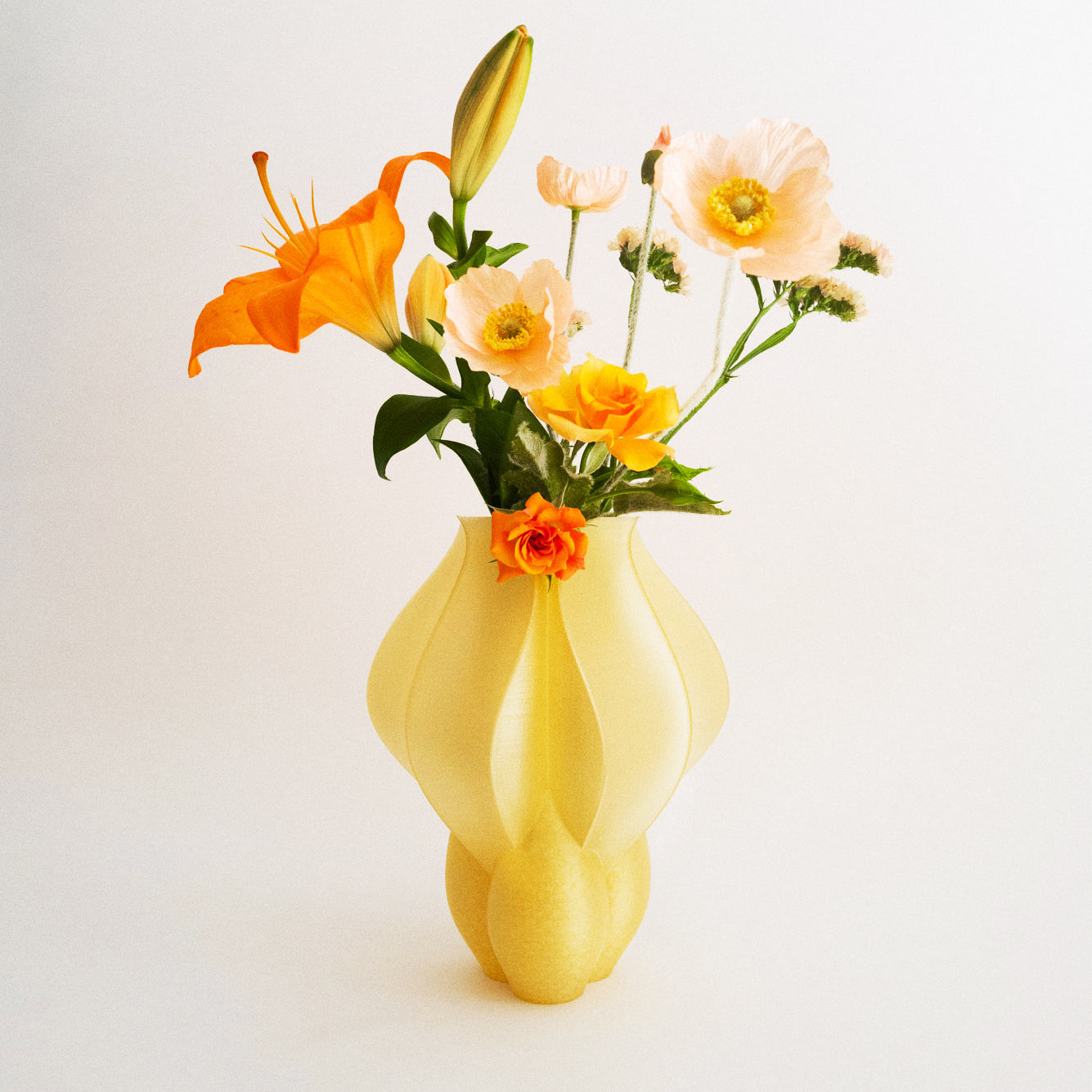 IRIS BULBILIS - vase - jaune