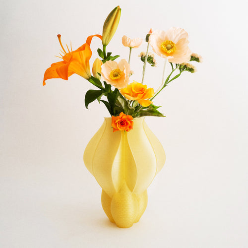 IRIS BULBILIS - vase - jaune