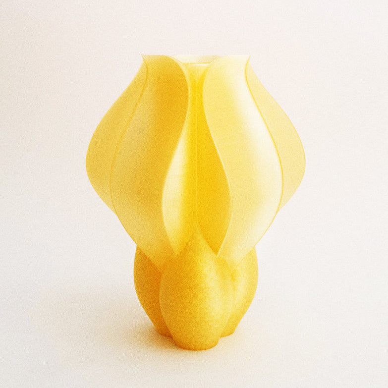 IRIS BULBILIS - vase - jaune