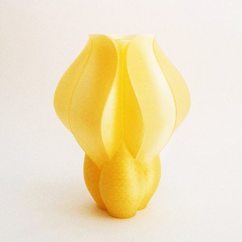 IRIS BULBILIS - vase - jaune