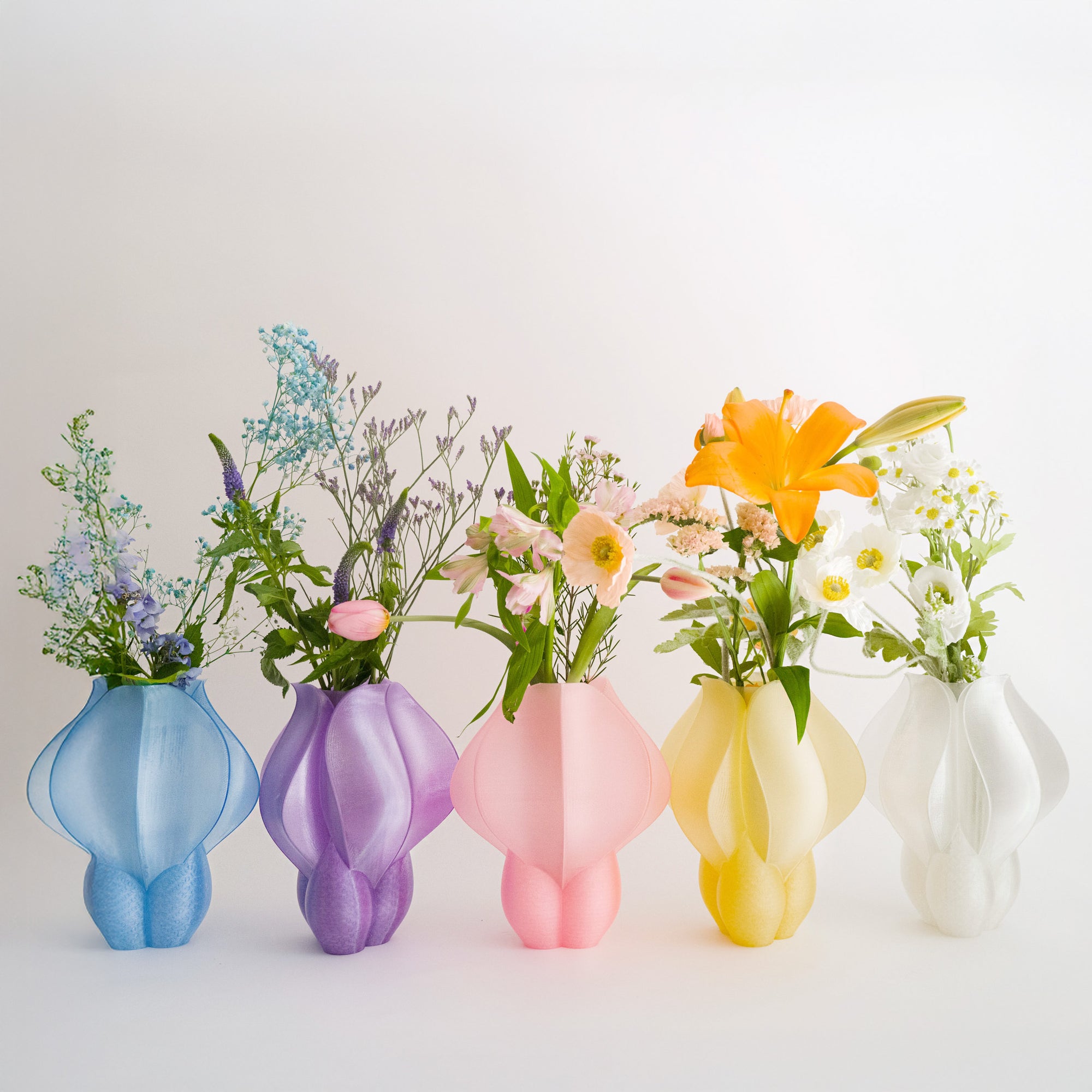 IRIS BULBILIS - vase - blanche