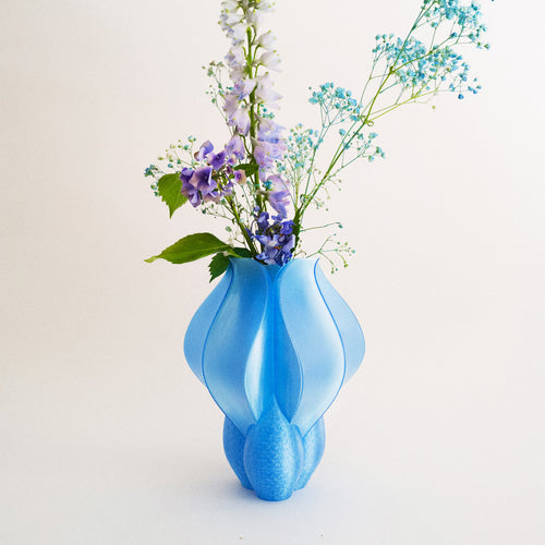 IRIS BULBILIS - vase - bleu