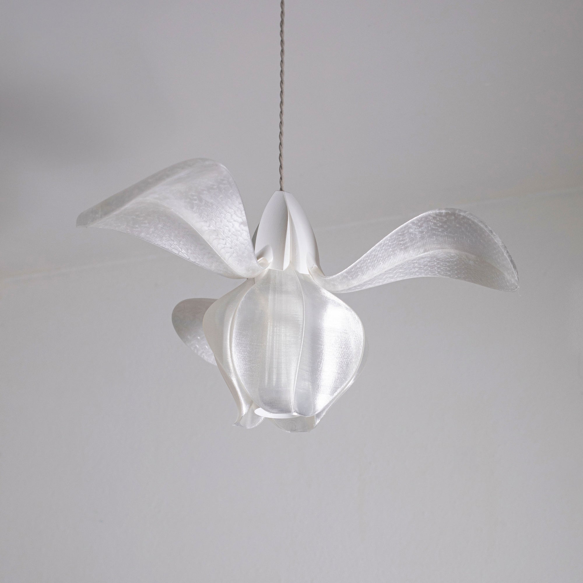 IRIS FILAMENTUM - suspension - blanche