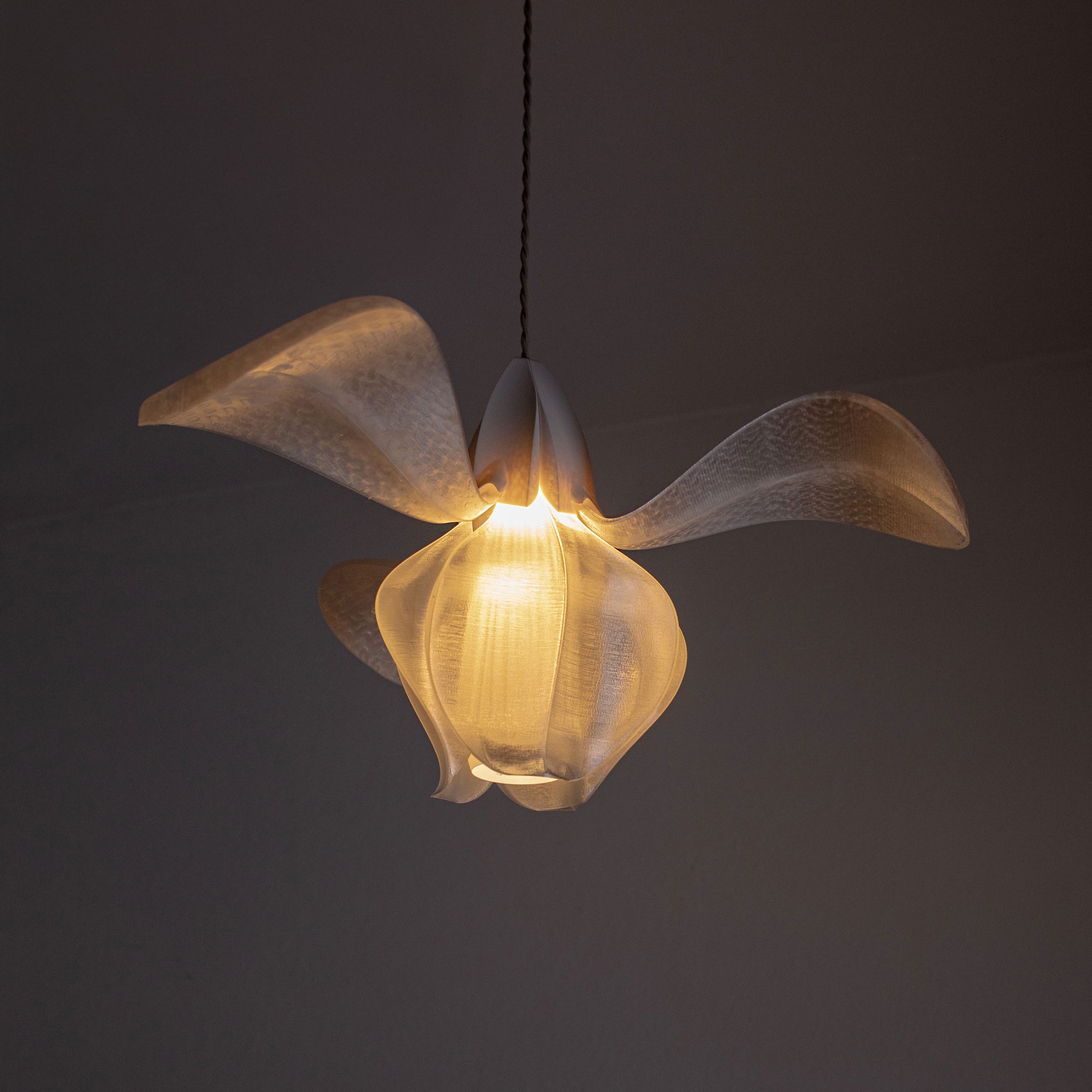 IRIS FILAMENTUM - suspension - blanche