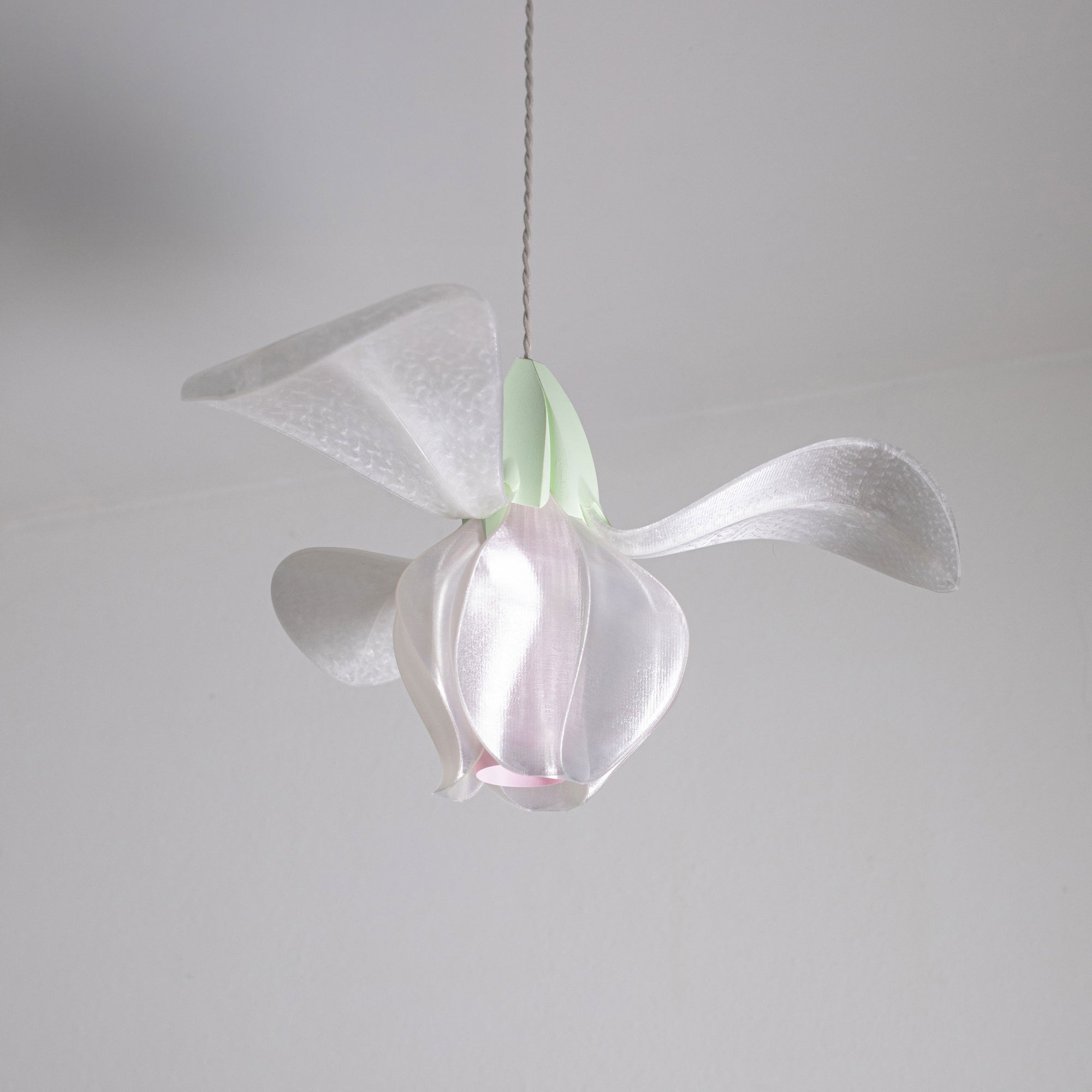 IRIS FILAMENTUM - suspension - blanche / verte