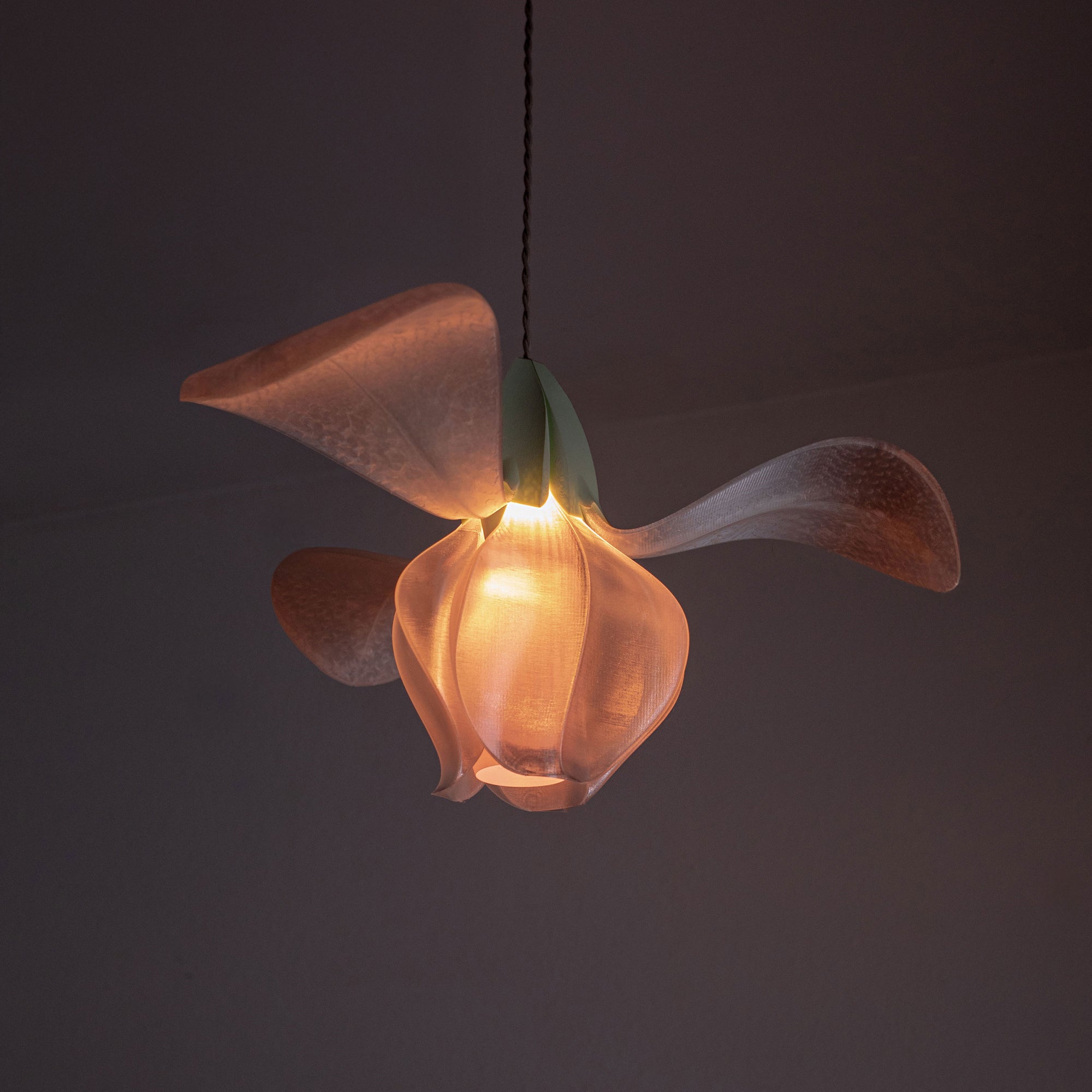 IRIS FILAMENTUM - suspension - blanche / verte