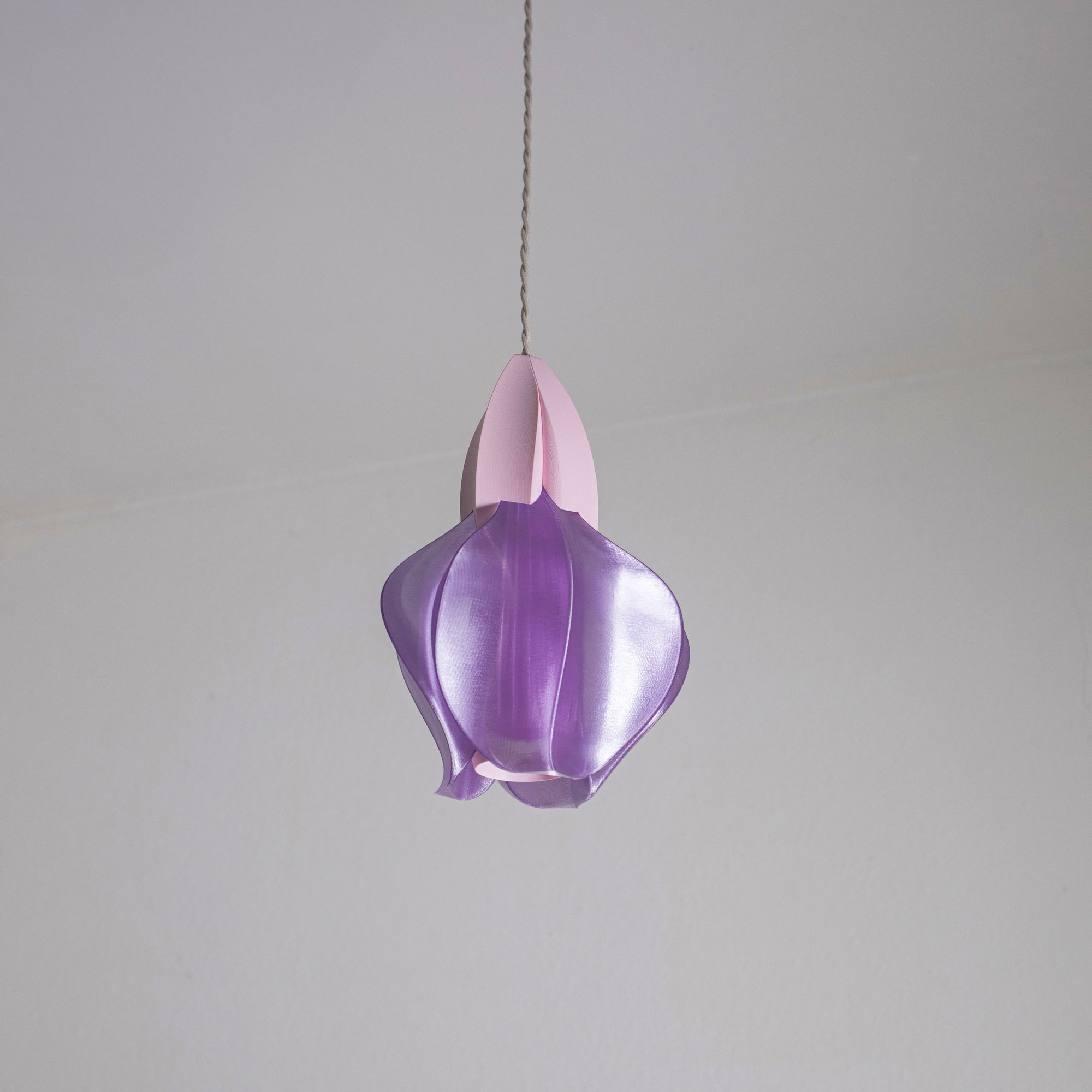 IRIS FILAMENTUM MINI - suspension - violette / rose