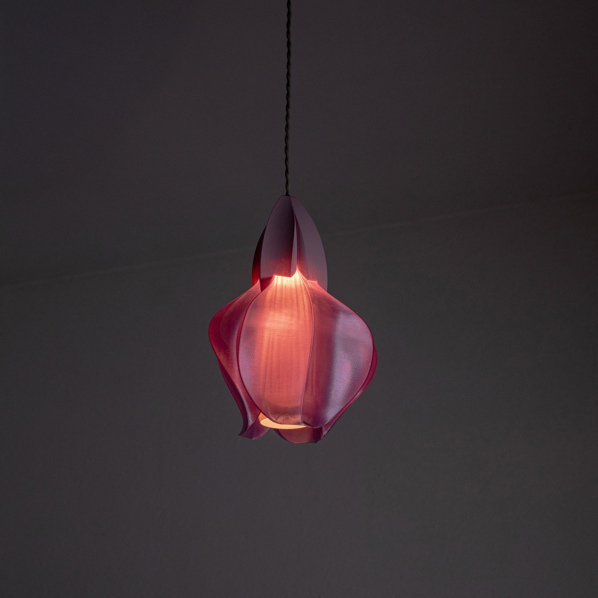 IRIS FILAMENTUM MINI - suspension - violette / rose