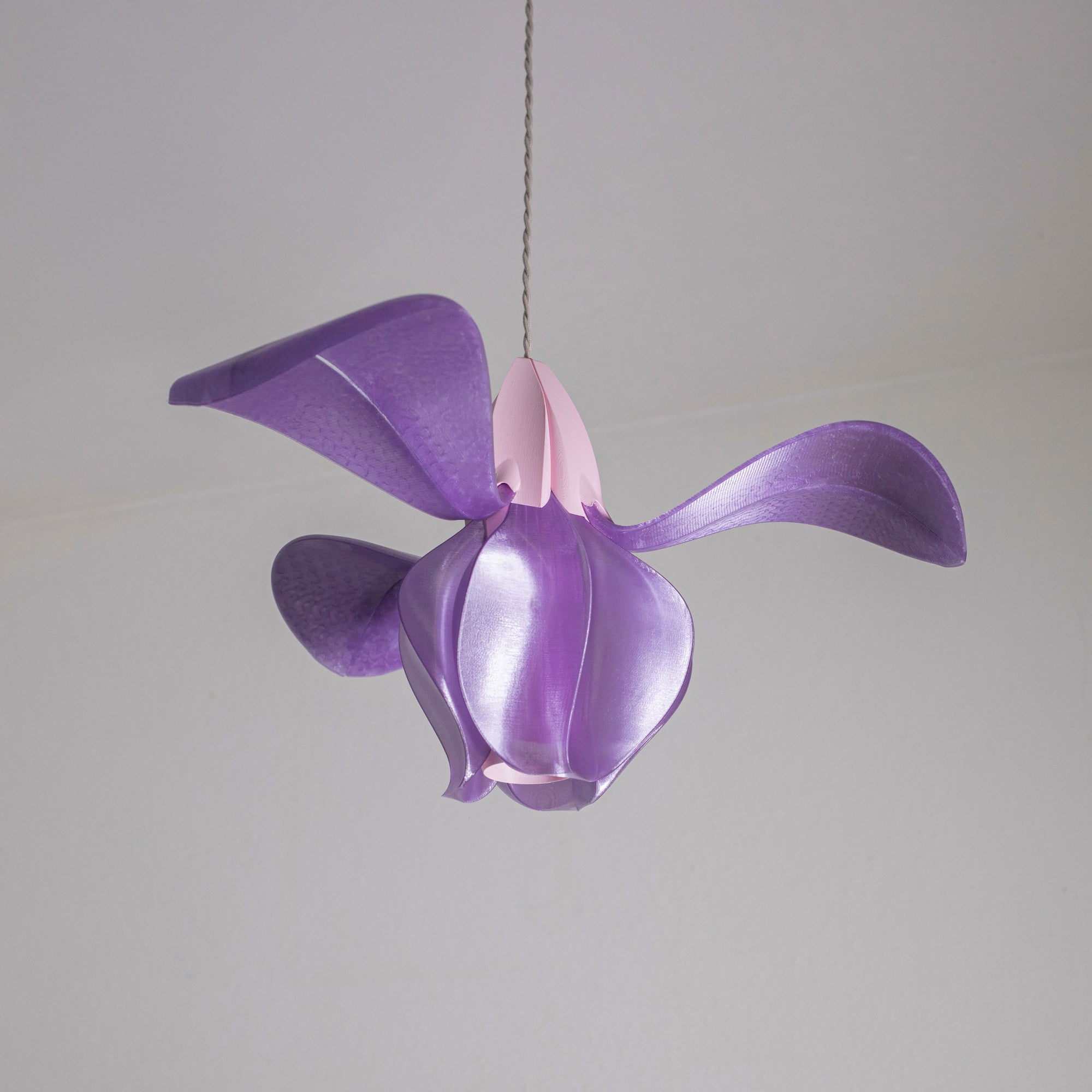 IRIS FILAMENTUM - suspension - violette / rose