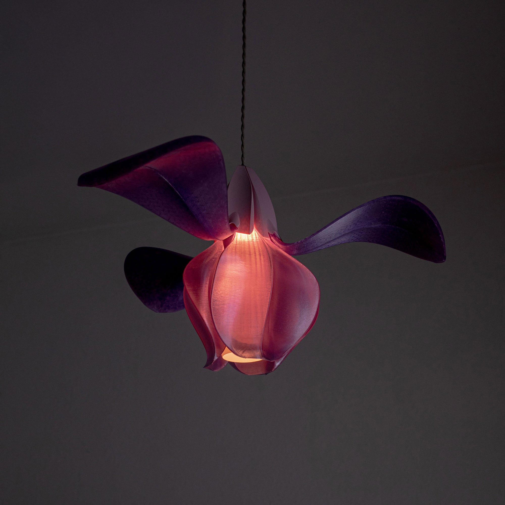 IRIS FILAMENTUM - suspension - violette / rose