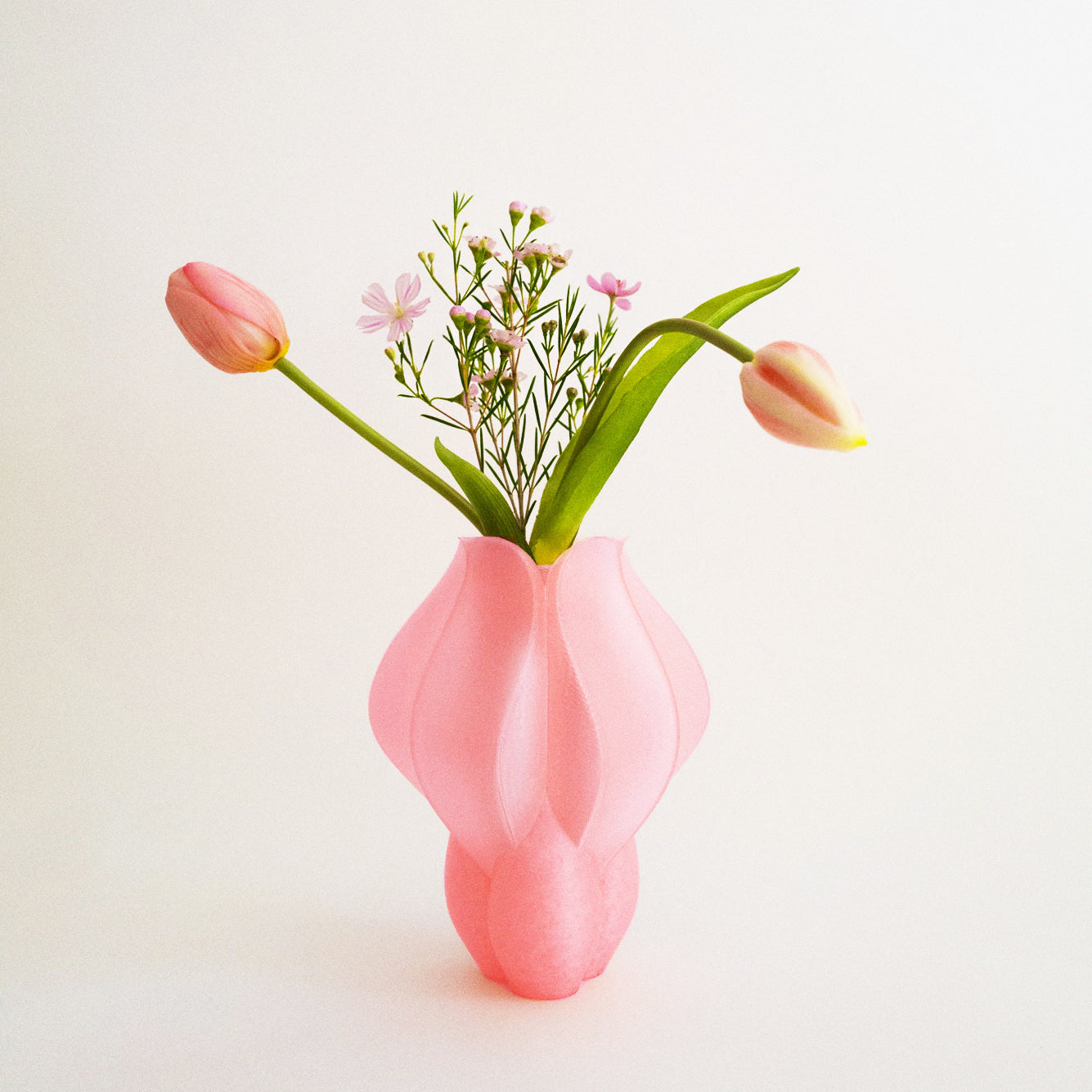 IRIS BULBILIS mini - vase - pêche